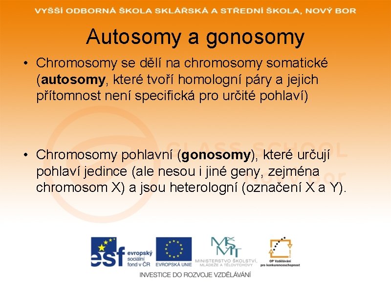 Autosomy a gonosomy • Chromosomy se dělí na chromosomy somatické (autosomy, které tvoří homologní