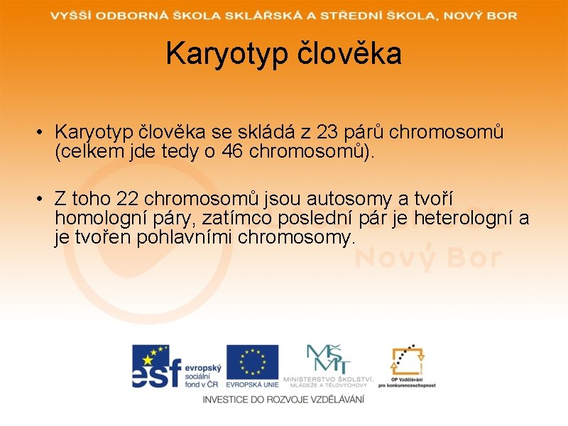 Karyotyp člověka • Karyotyp člověka se skládá z 23 párů chromosomů (celkem jde tedy