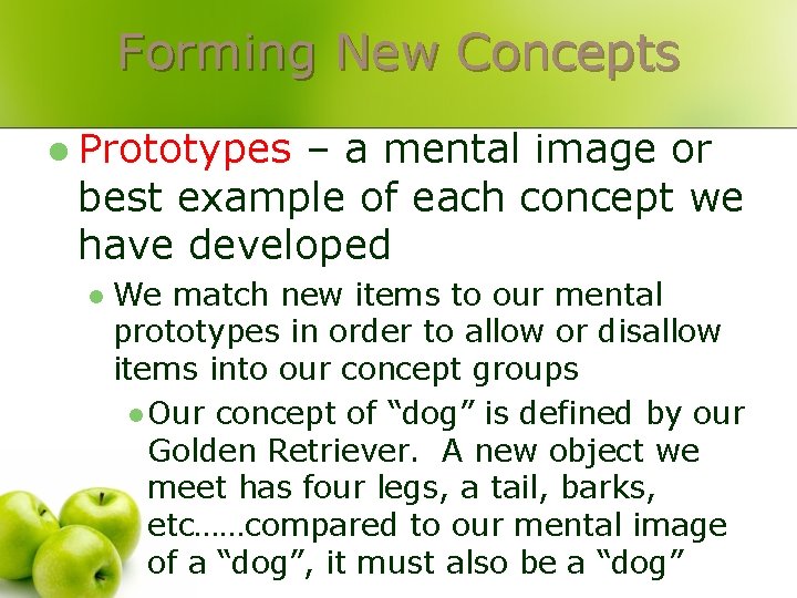 Forming New Concepts l Prototypes – a mental image or best example of each