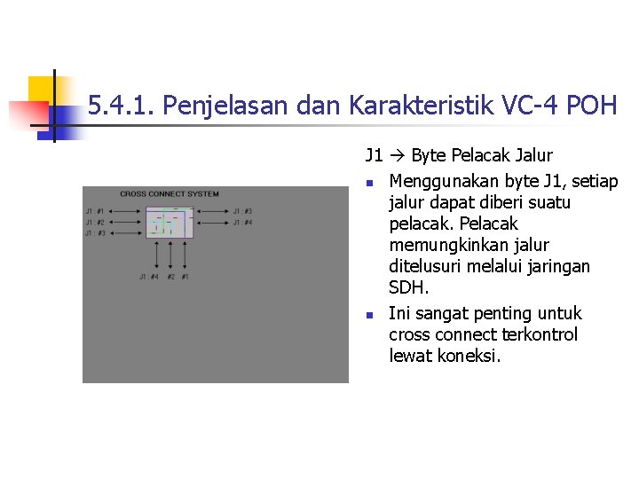 5. 4. 1. Penjelasan dan Karakteristik VC-4 POH J 1 Byte Pelacak Jalur n