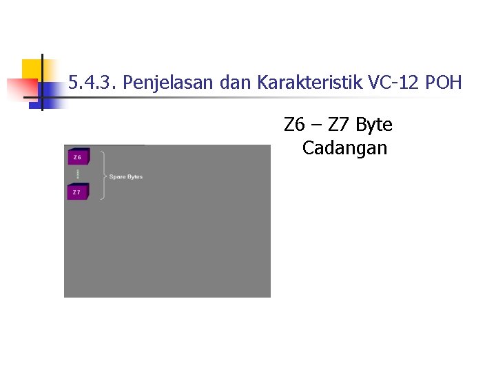 5. 4. 3. Penjelasan dan Karakteristik VC-12 POH Z 6 – Z 7 Byte