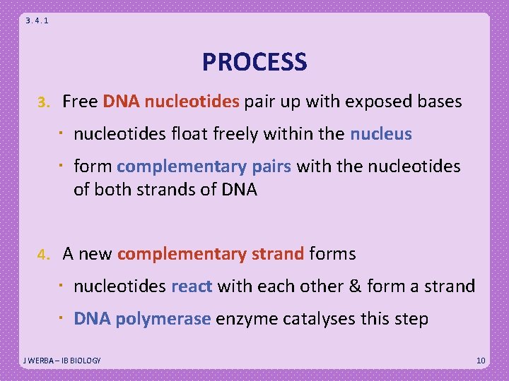 3. 4. 1 PROCESS 3. Free DNA nucleotides pair up with exposed bases nucleotides
