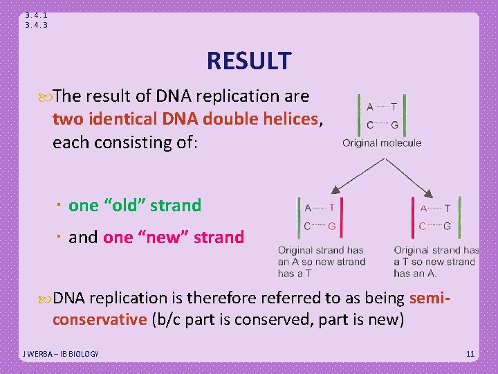 3. 4. 1 3. 4. 3 RESULT The result of DNA replication are two