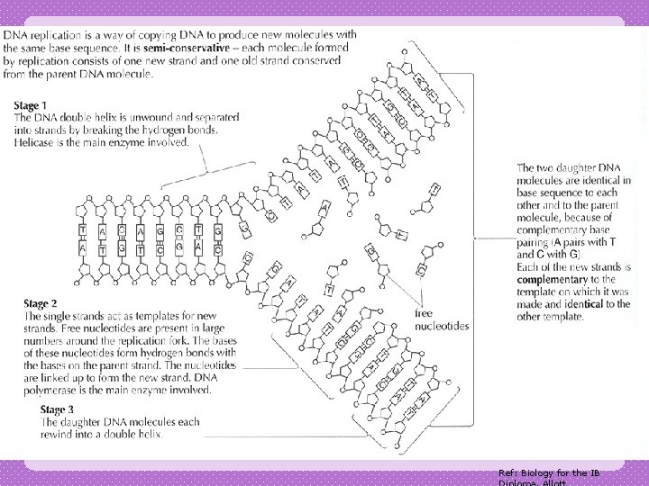 Ref: Biology for the IB 