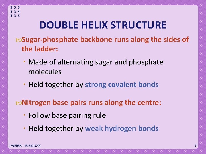 3. 3. 3. 4 3. 3. 5 DOUBLE HELIX STRUCTURE Sugar-phosphate backbone runs along
