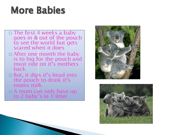 More Babies The first 4 weeks a baby goes in & out of the