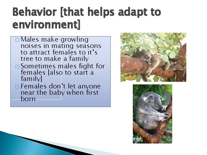 Behavior [that helps adapt to environment] � Males make growling noises in mating seasons