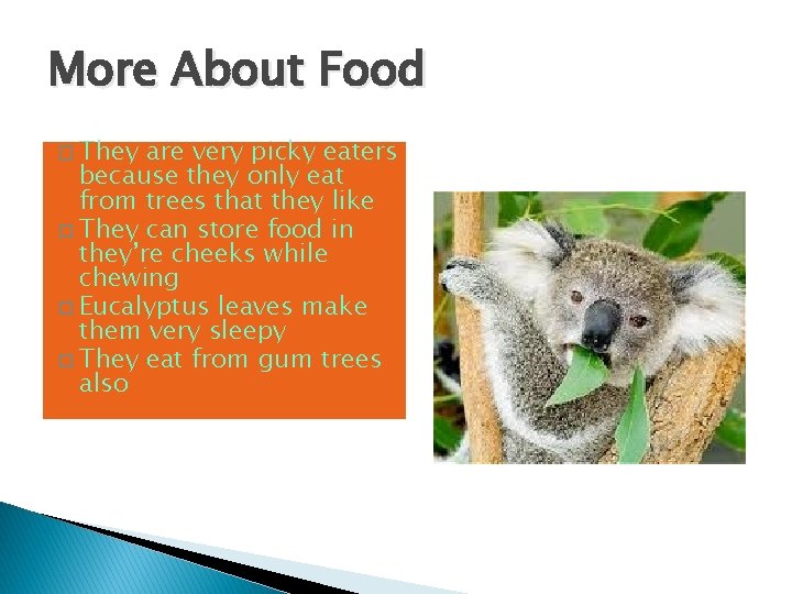 More About Food � They are very picky eaters because they only eat from