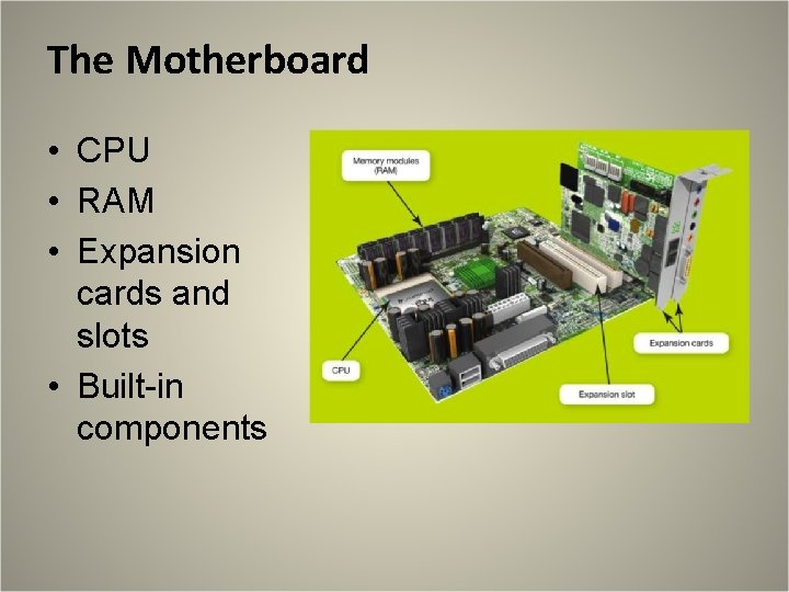 The Motherboard • CPU • RAM • Expansion cards and slots • Built-in components The Motherboard • CPU • RAM • Expansion cards and slots • Built-in components