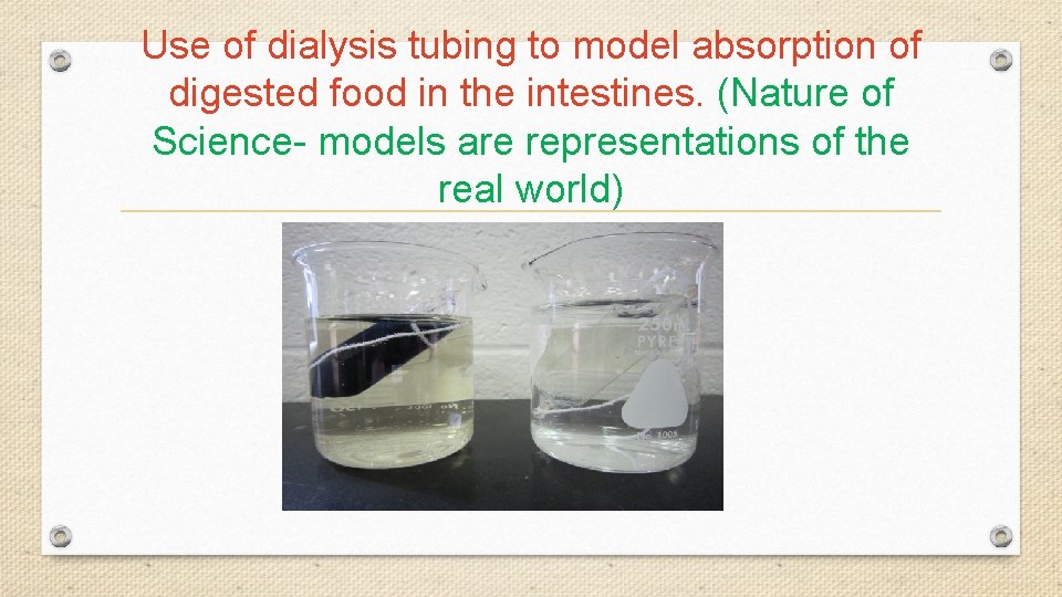 Use of dialysis tubing to model absorption of digested food in the intestines. (Nature