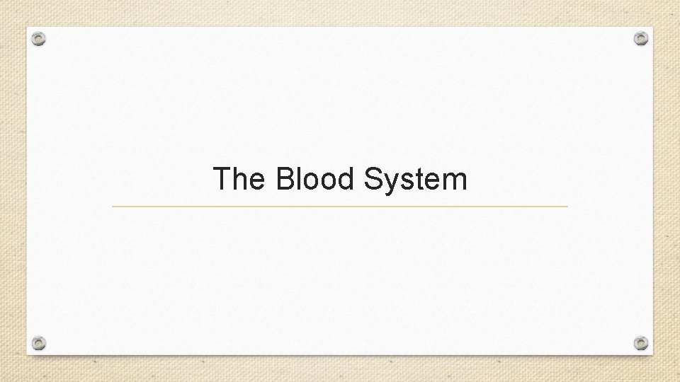 The Blood System 