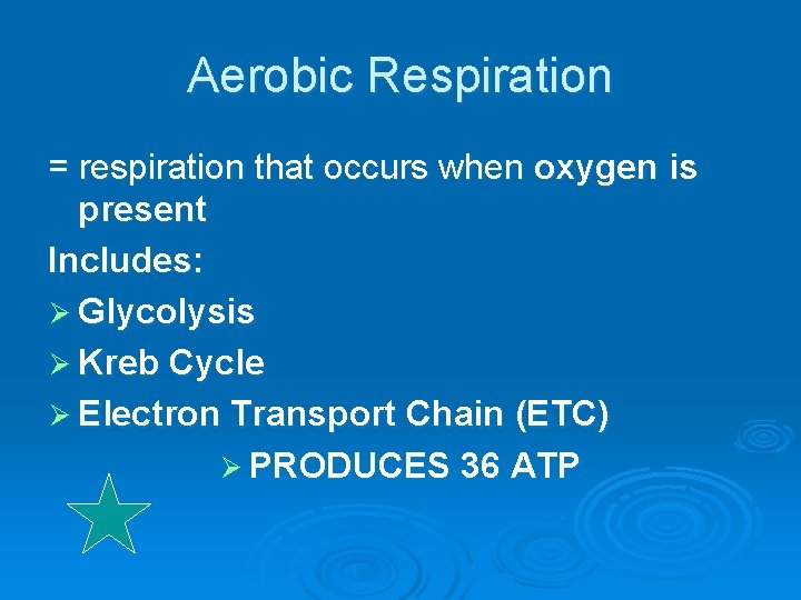 Aerobic Respiration = respiration that occurs when oxygen is present Includes: Ø Glycolysis Ø