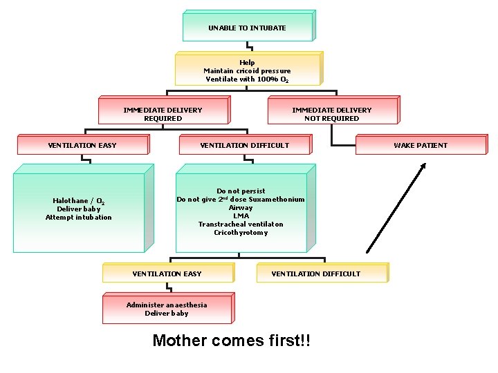 UNABLE TO INTUBATE Help Maintain cricoid pressure Ventilate with 100% O 2 IMMEDIATE DELIVERY