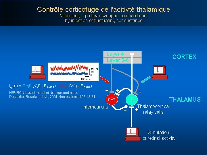 Contrôle corticofuge de l'acitivté thalamique Mimicking top down synaptic bombardment by injection of fluctuating