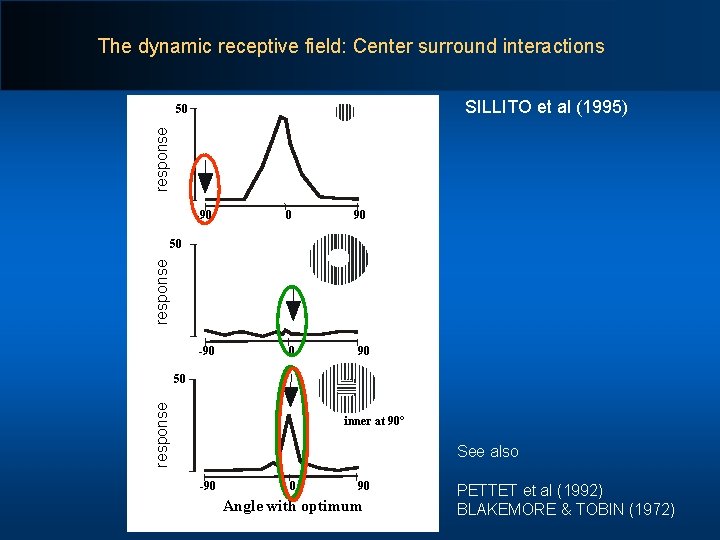 The dynamic receptive field: Center surround interactions SILLITO et al (1995) response 50 -90