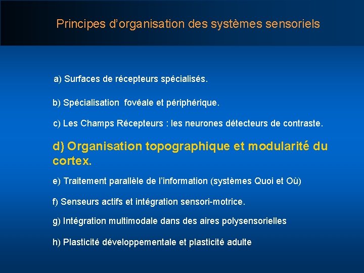 Principes d’organisation des systèmes sensoriels a) Surfaces de récepteurs spécialisés. b) Spécialisation fovéale et