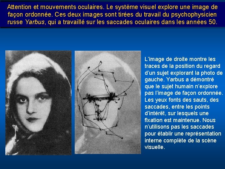 Attention et mouvements oculaires. Le système visuel explore une image de façon ordonnée. Ces