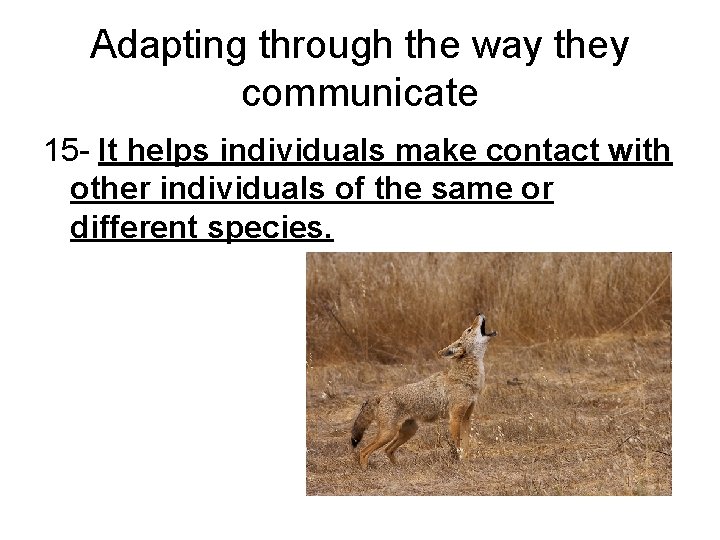 Adapting through the way they communicate 15 - It helps individuals make contact with