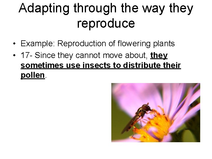 Adapting through the way they reproduce • Example: Reproduction of flowering plants • 17