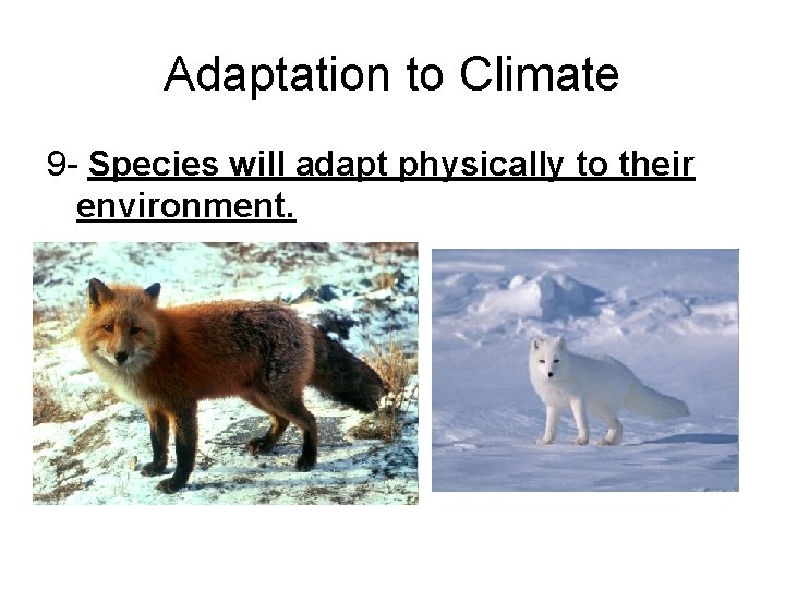 Adaptation to Climate 9 - Species will adapt physically to their environment. 