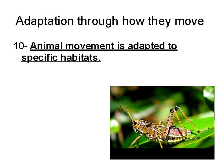 Adaptation through how they move 10 - Animal movement is adapted to specific habitats.