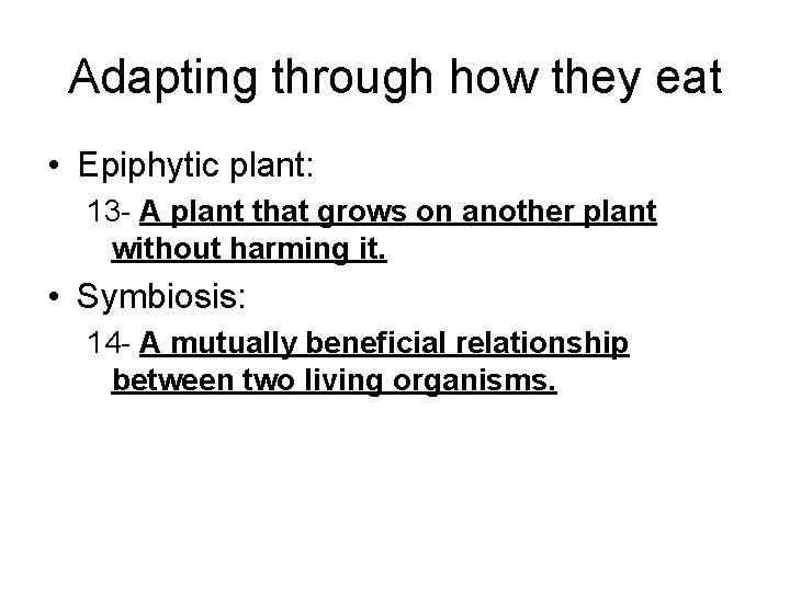 Adapting through how they eat • Epiphytic plant: 13 - A plant that grows