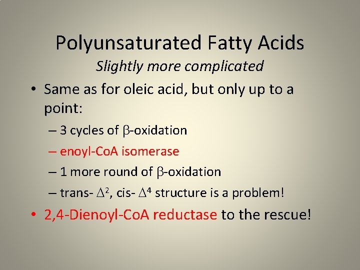 Polyunsaturated Fatty Acids Slightly more complicated • Same as for oleic acid, but only