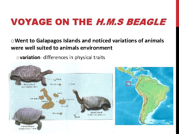 VOYAGE ON THE H. M. S BEAGLE o. Went to Galapagos Islands and noticed