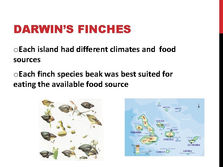 DARWIN’S FINCHES o. Each island had different climates and food sources o. Each finch