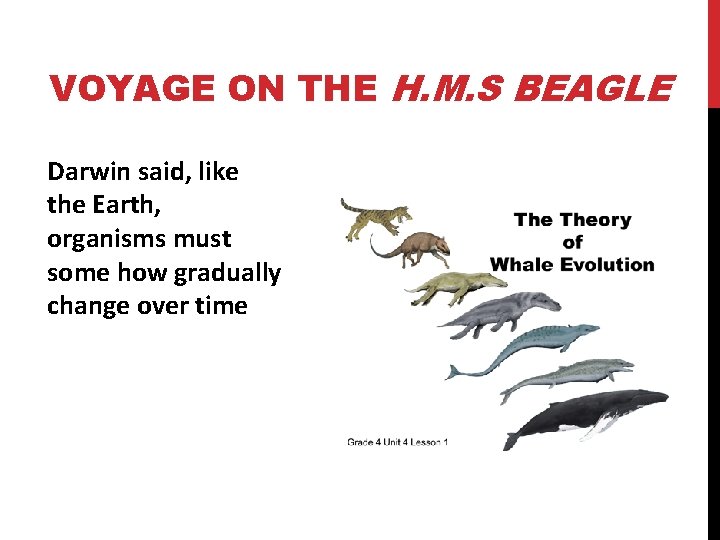 VOYAGE ON THE H. M. S BEAGLE Darwin said, like the Earth, organisms must
