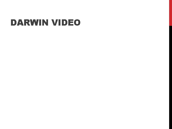 DARWIN VIDEO 