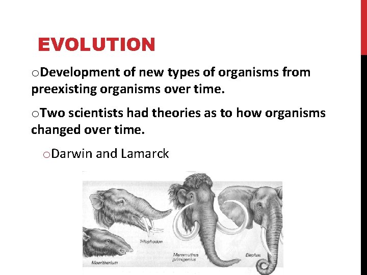 EVOLUTION o. Development of new types of organisms from preexisting organisms over time. o.
