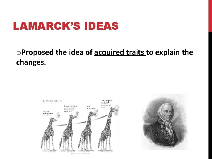 LAMARCK’S IDEAS o. Proposed the idea of acquired traits to explain the changes. 