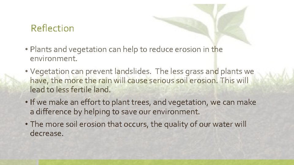 Reflection • Plants and vegetation can help to reduce erosion in the environment. •