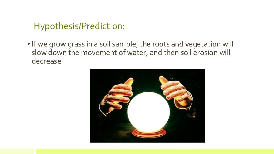 Hypothesis/Prediction: • If we grow grass in a soil sample, the roots and vegetation