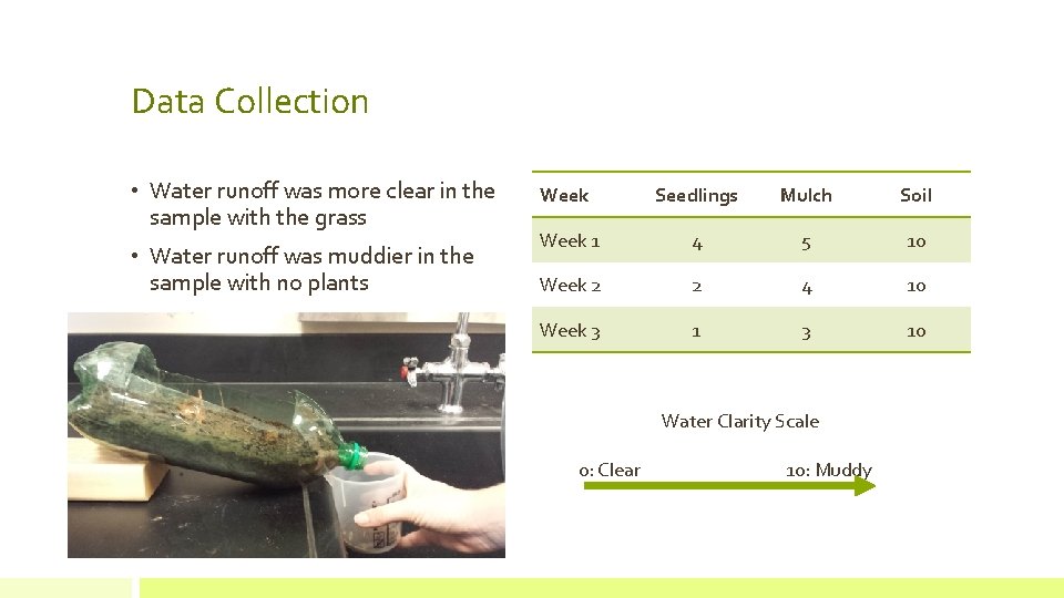 Data Collection • Water runoff was more clear in the sample with the grass