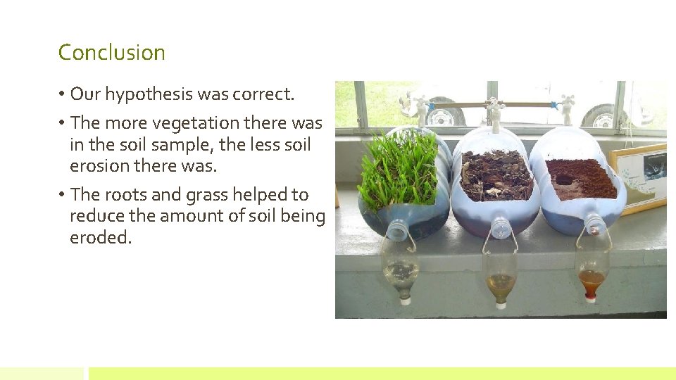 Conclusion • Our hypothesis was correct. • The more vegetation there was in the