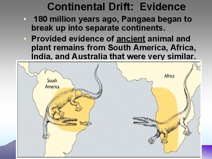 Continental Drift: Evidence • 180 million years ago, Pangaea began to break up into