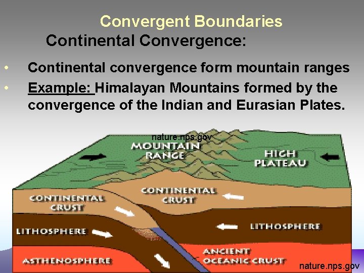 Convergent Boundaries Continental Convergence: • • Continental convergence form mountain ranges Example: Himalayan Mountains