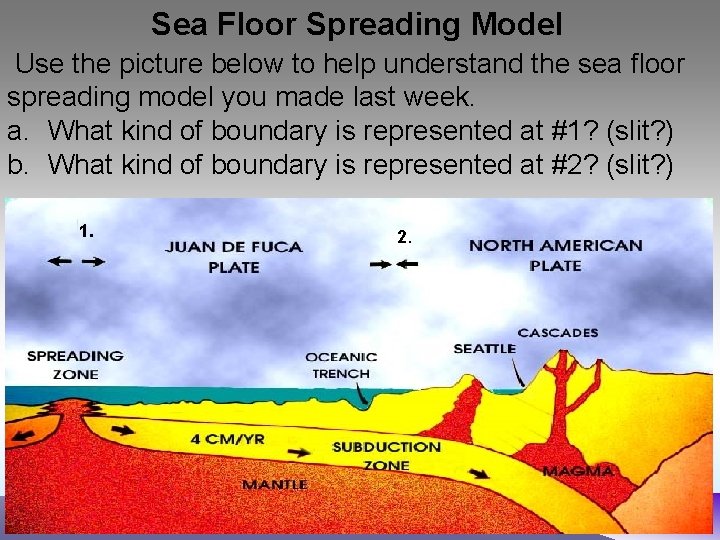 Sea Floor Spreading Model Use the picture below to help understand the sea floor