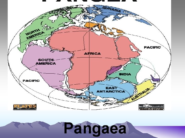 Pangaea Pangaea