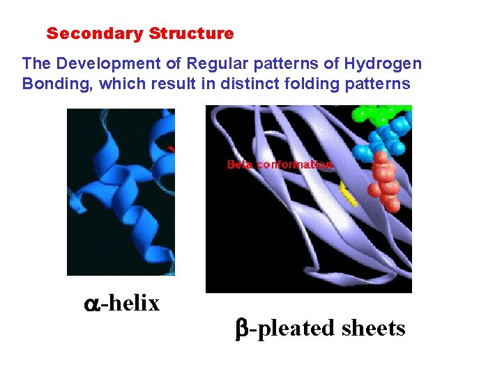 Secondary Structure The Development of Regular patterns of Hydrogen Bonding, which result in distinct