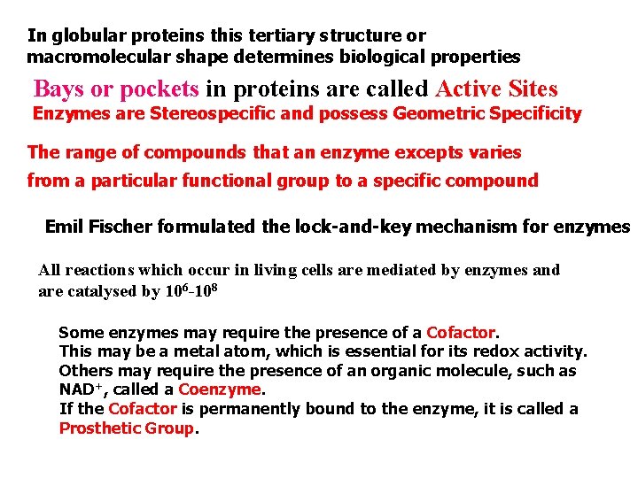 In globular proteins this tertiary structure or macromolecular shape determines biological properties Bays or