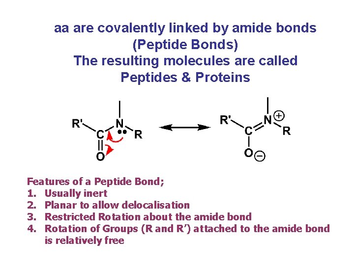 aa are covalently linked by amide bonds (Peptide Bonds) The resulting molecules are called