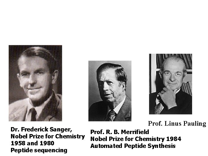 Prof. Linus Pauling Dr. Frederick Sanger, Prof. R. B. Merrifield Nobel Prize for Chemistry