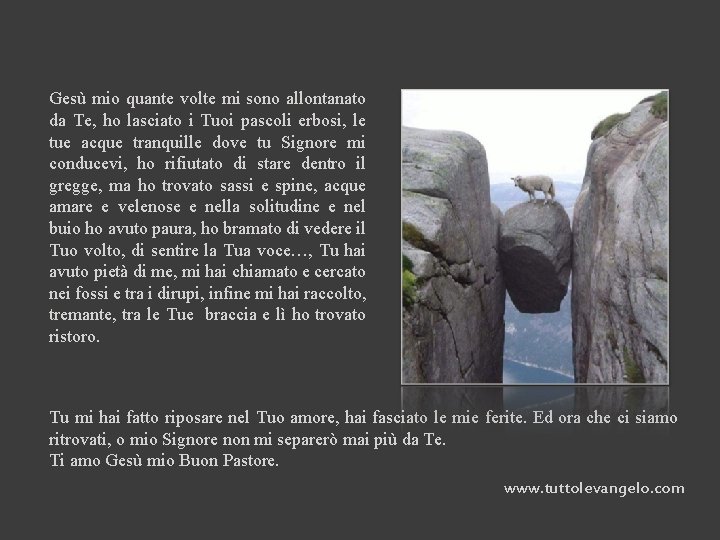 Gesù mio quante volte mi sono allontanato da Te, ho lasciato i Tuoi pascoli