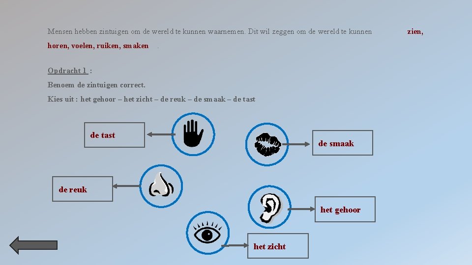 Mensen hebben zintuigen om de wereld te kunnen waarnemen. Dit wil zeggen om de