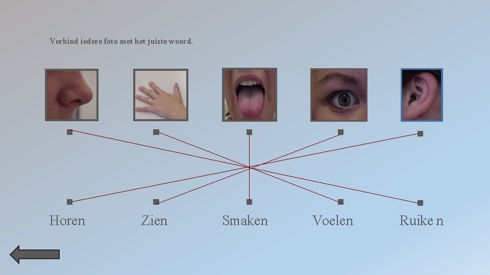 Verbind iedere foto met het juiste woord. Horen Zien Smaken Voelen Ruike n 