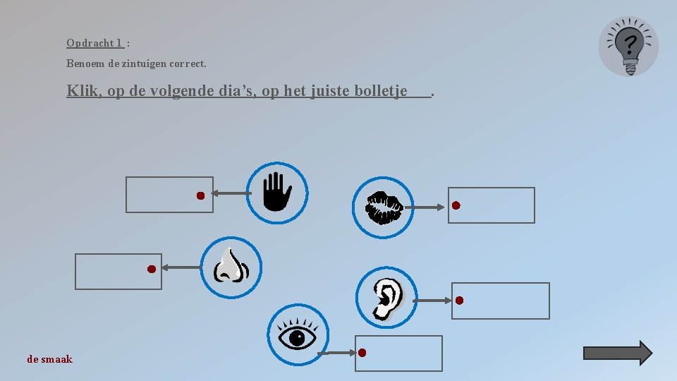 Opdracht 1 : Benoem de zintuigen correct. Klik, op de volgende dia’s, op het