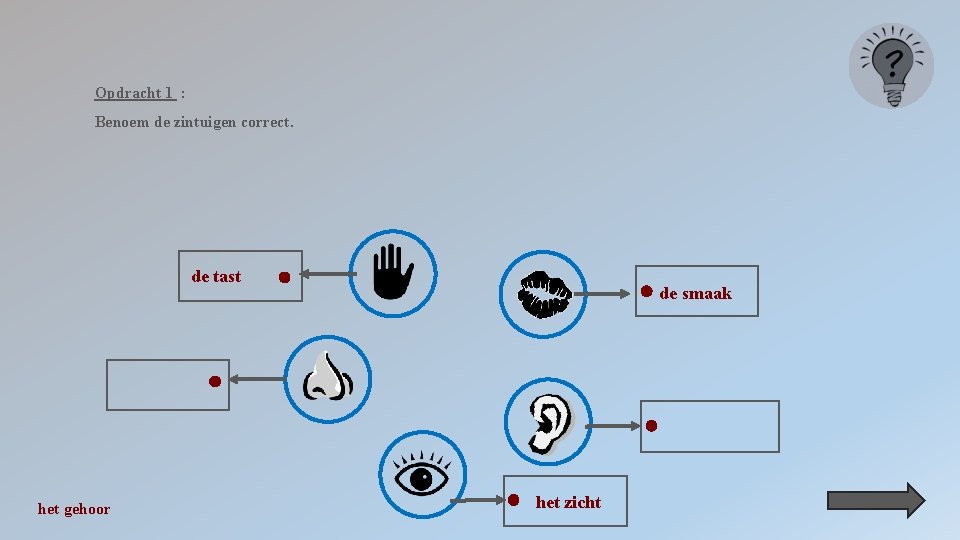 Opdracht 1 : Benoem de zintuigen correct. de tast het gehoor de smaak het